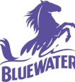 blue water logo